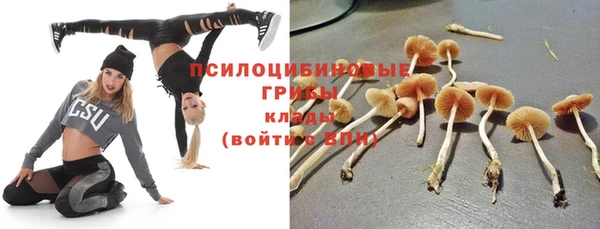 гидра Балахна